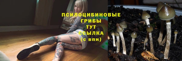амф Балахна