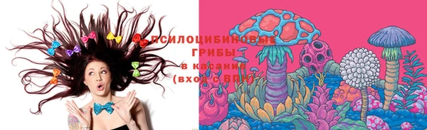винт Белокуриха